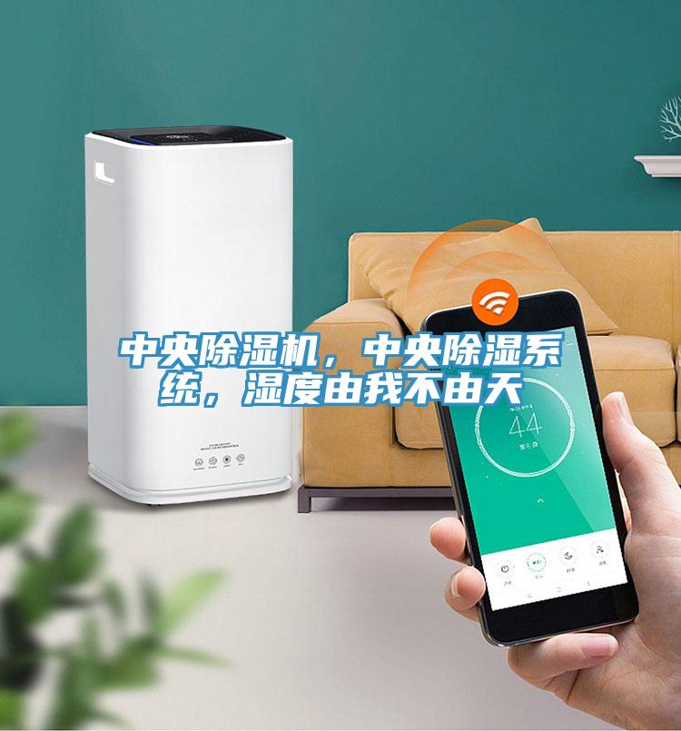 中央除濕機，中央除濕系統(tǒng)，濕度由我不由天
