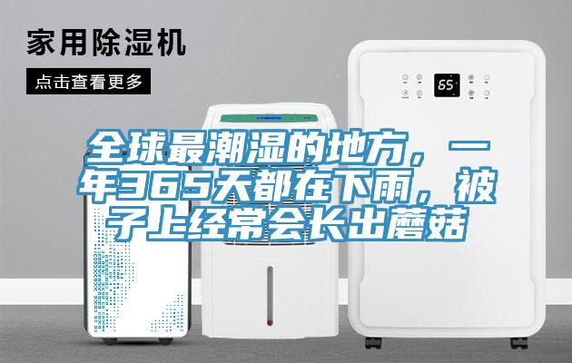 全球最潮濕的地方，一年365天都在下雨，被子上經常會長出蘑菇