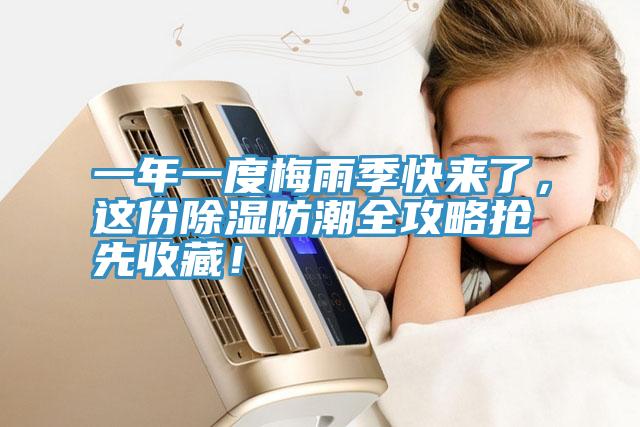 一年一度梅雨季快來了，這份除濕防潮全攻略搶先收藏！