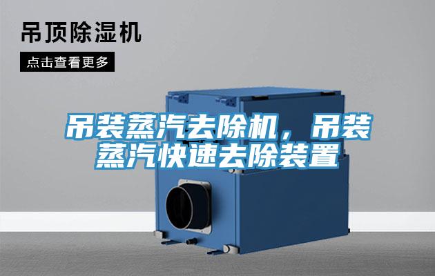 吊裝蒸汽去除機，吊裝蒸汽快速去除裝置