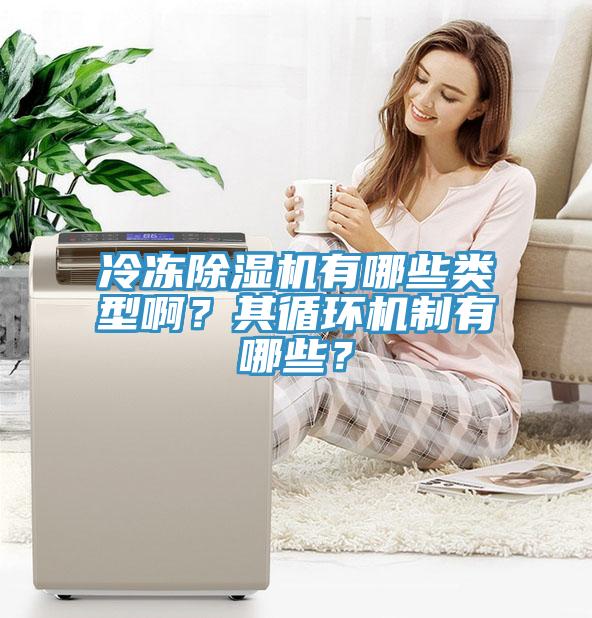 冷凍除濕機有哪些類型啊？其循環機制有哪些？