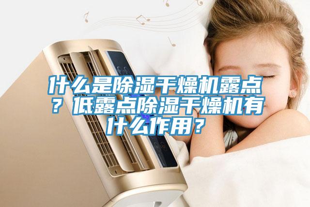 什么是除濕干燥機露點？低露點除濕干燥機有什么作用？