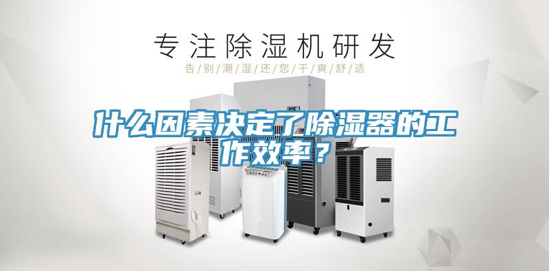 什么因素決定了除濕器的工作效率？