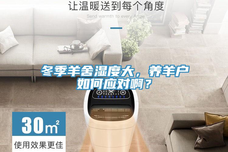 冬季羊舍濕度大，養(yǎng)羊戶(hù)如何應(yīng)對(duì)啊？