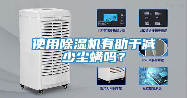 使用除濕機有助于減少塵螨嗎？