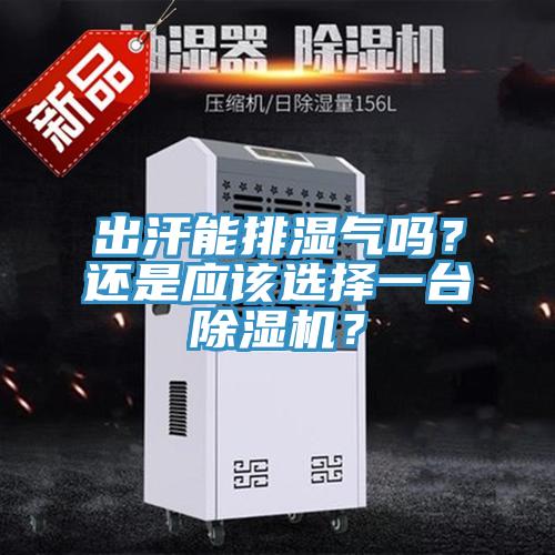 出汗能排濕氣嗎？還是應(yīng)該選擇一臺(tái)除濕機(jī)？