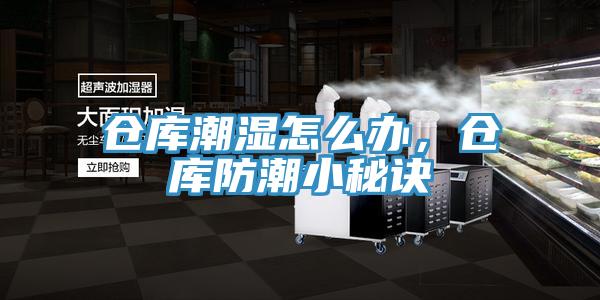 倉庫潮濕怎么辦，倉庫防潮小秘訣
