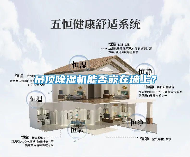 吊頂除濕機能否嵌在墻上？