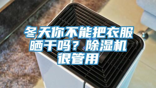 冬天你不能把衣服曬干嗎？除濕機(jī)很管用