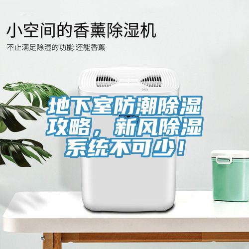 地下室防潮除濕攻略，新風除濕系統不可少！