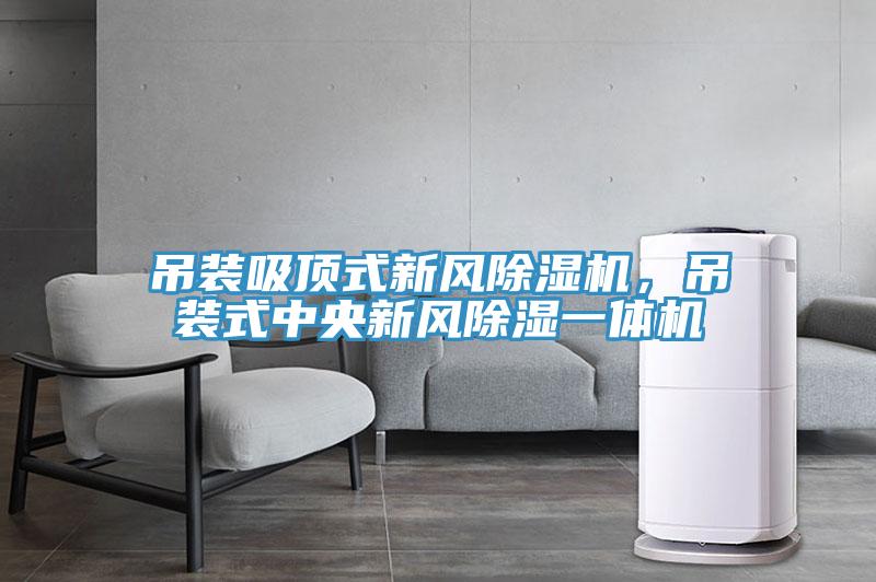 吊裝吸頂式新風除濕機，吊裝式中央新風除濕一體機