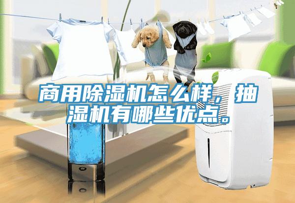 商用除濕機怎么樣，抽濕機有哪些優點。