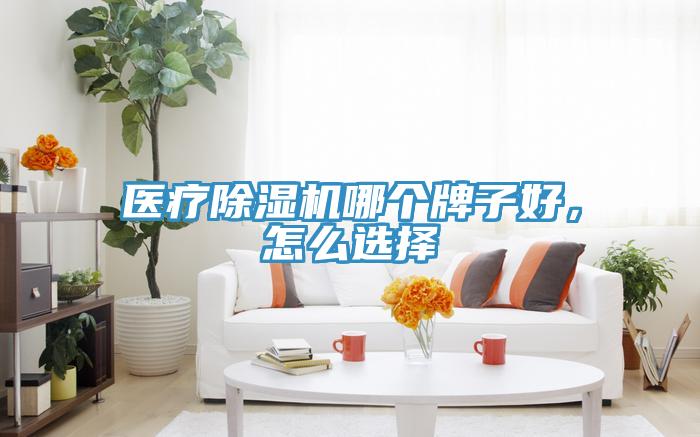 醫(yī)療除濕機(jī)哪個牌子好，怎么選擇