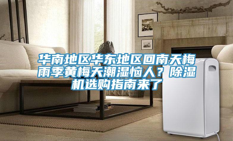 華南地區華東地區回南天梅雨季黃梅天潮濕惱人？除濕機選購指南來了