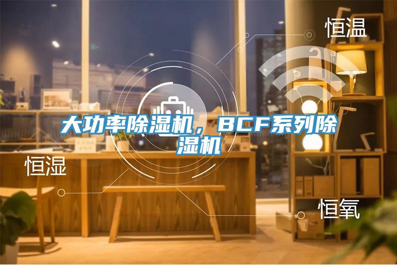 大功率除濕機，BCF系列除濕機
