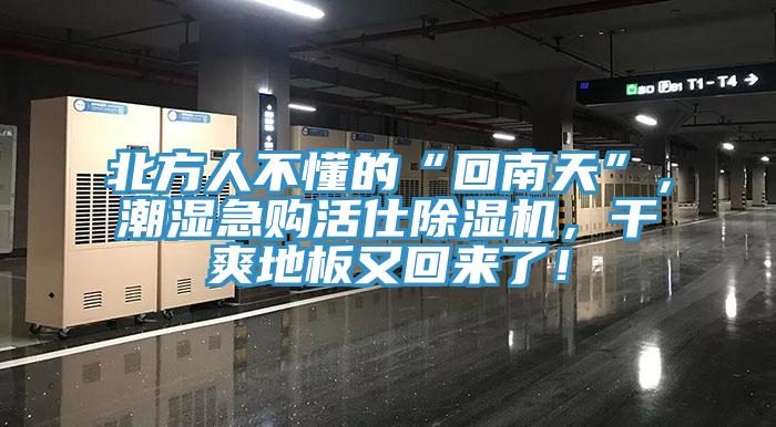 北方人不懂的“回南天”，潮濕急購活仕除濕機，干爽地板又回來了！