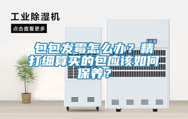 包包發霉怎么辦？精打細算買的包應該如何保養？