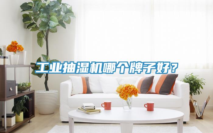 工業抽濕機哪個牌子好？
