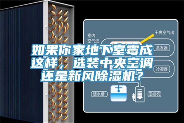 如果你家地下室霉成這樣，選裝中央空調(diào)還是新風(fēng)除濕機？