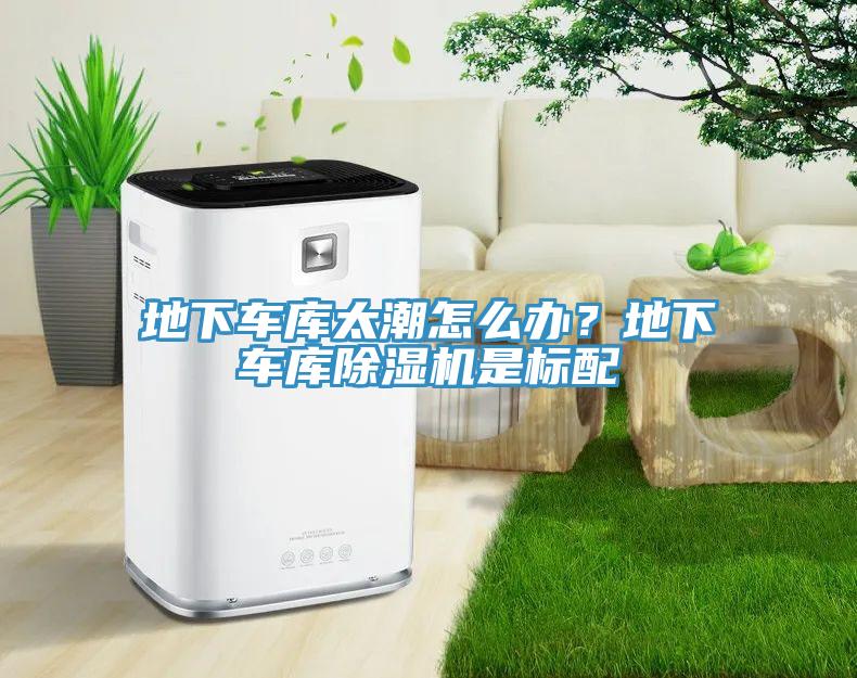 地下車庫太潮怎么辦？地下車庫除濕機是標(biāo)配