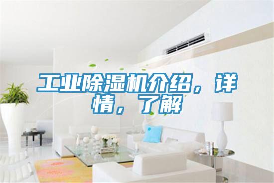 工業除濕機介紹，詳情，了解