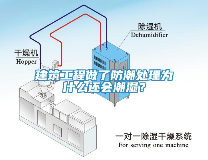建筑工程做了防潮處理為什么還會潮濕？
