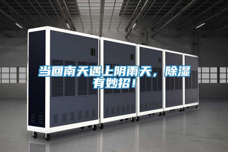 當回南天遇上陰雨天，除濕有妙招！