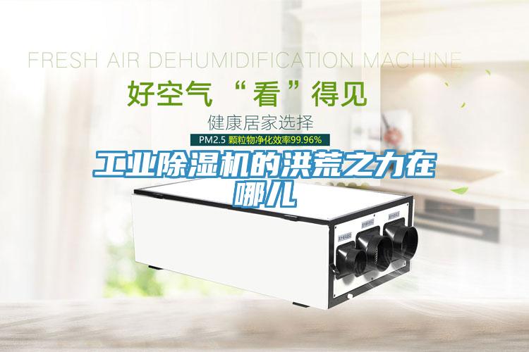 工業除濕機的洪荒之力在哪兒
