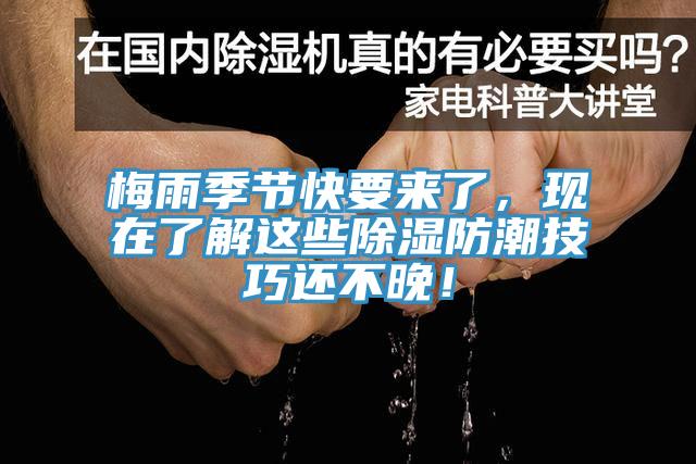 梅雨季節快要來了，現在了解這些除濕防潮技巧還不晚！