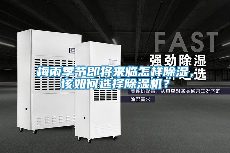 梅雨季節即將來臨怎樣除濕，該如何選擇除濕機？
