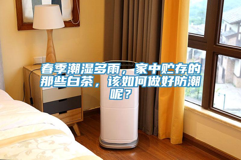 春季潮濕多雨，家中貯存的那些白茶，該如何做好防潮呢？