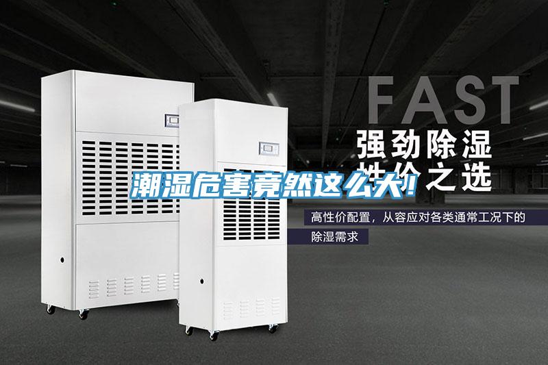 潮濕危害竟然這么大！