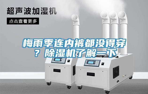 梅雨季連內褲都沒得穿？除濕機了解一下