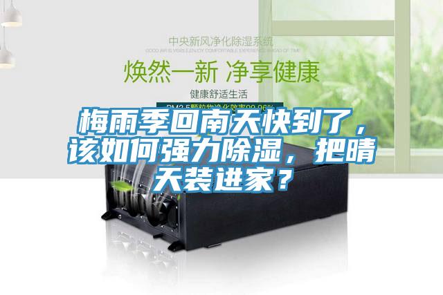 梅雨季回南天快到了，該如何強力除濕，把晴天裝進家？