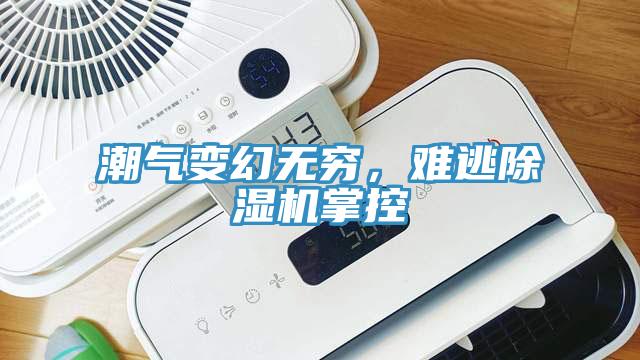 潮氣變幻無窮，難逃除濕機掌控