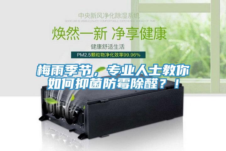 梅雨季節，專業人士教你如何抑菌防霉除醛？！