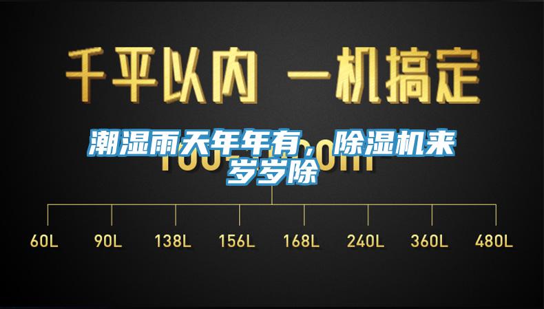 潮濕雨天年年有，除濕機來歲歲除