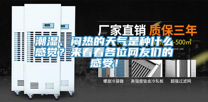 潮濕、悶熱的天氣是種什么感覺？來看看各位網友們的感受！