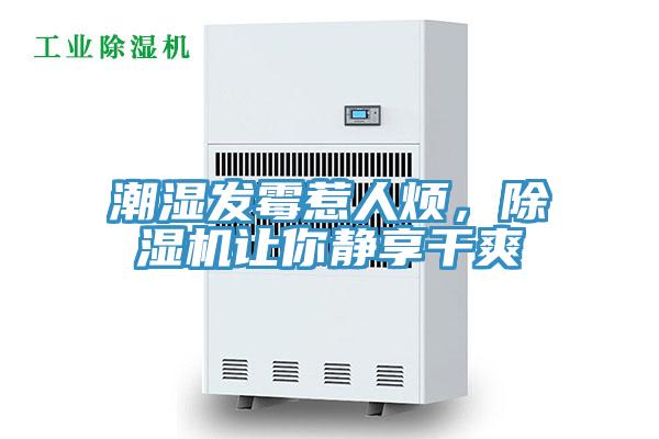 潮濕發(fā)霉惹人煩，除濕機(jī)讓你靜享干爽
