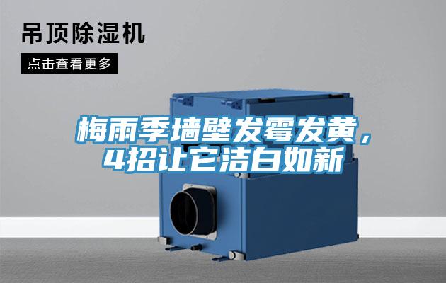 梅雨季墻壁發霉發黃，4招讓它潔白如新