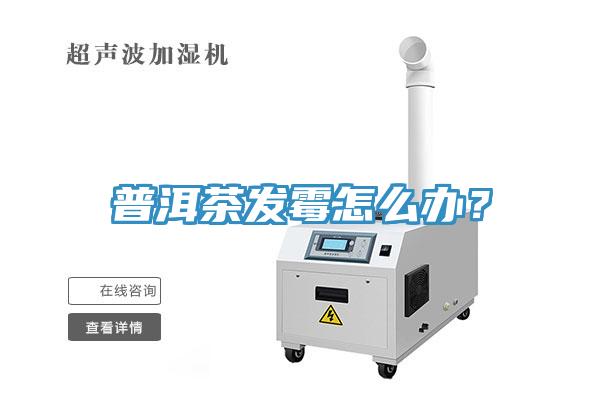 普洱茶發霉怎么辦?