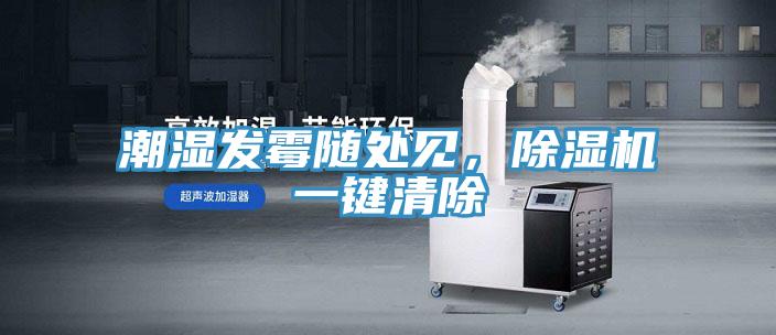 潮濕發(fā)霉隨處見，除濕機(jī)一鍵清除