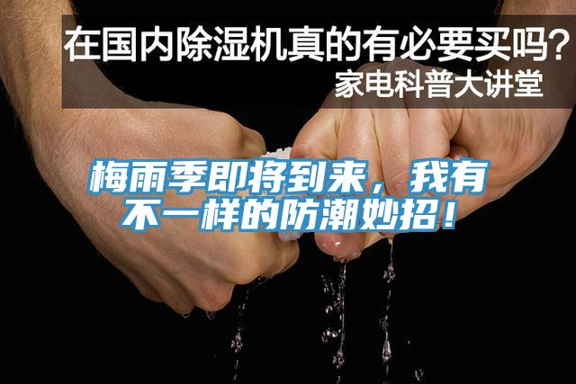 梅雨季即將到來，我有不一樣的防潮妙招！