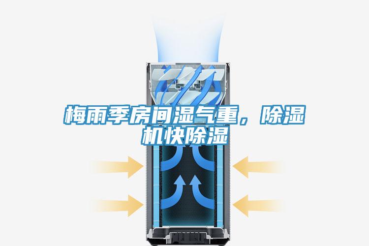 梅雨季房間濕氣重，除濕機快除濕