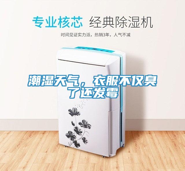 潮濕天氣，衣服不僅臭了還發霉