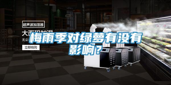 梅雨季對綠蘿有沒有影響？