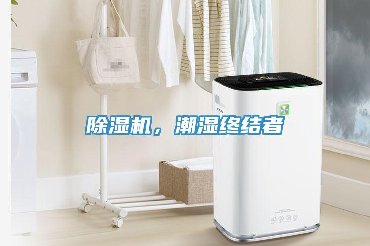 除濕機，潮濕終結者