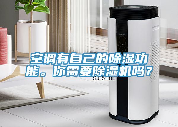 空調(diào)有自己的除濕功能。你需要除濕機嗎？