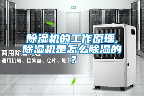 除濕機的工作原理,除濕機是怎么除濕的？