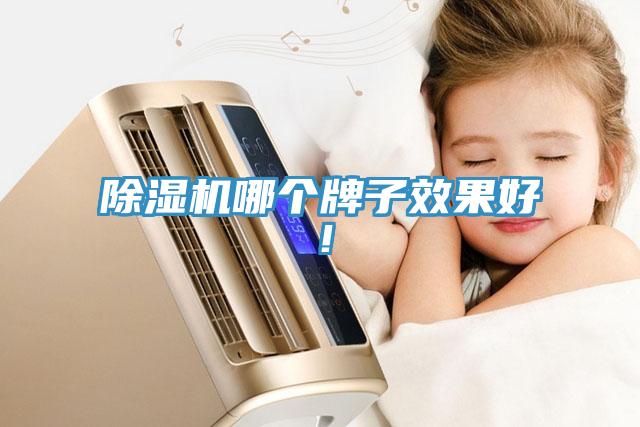 除濕機哪個牌子效果好！